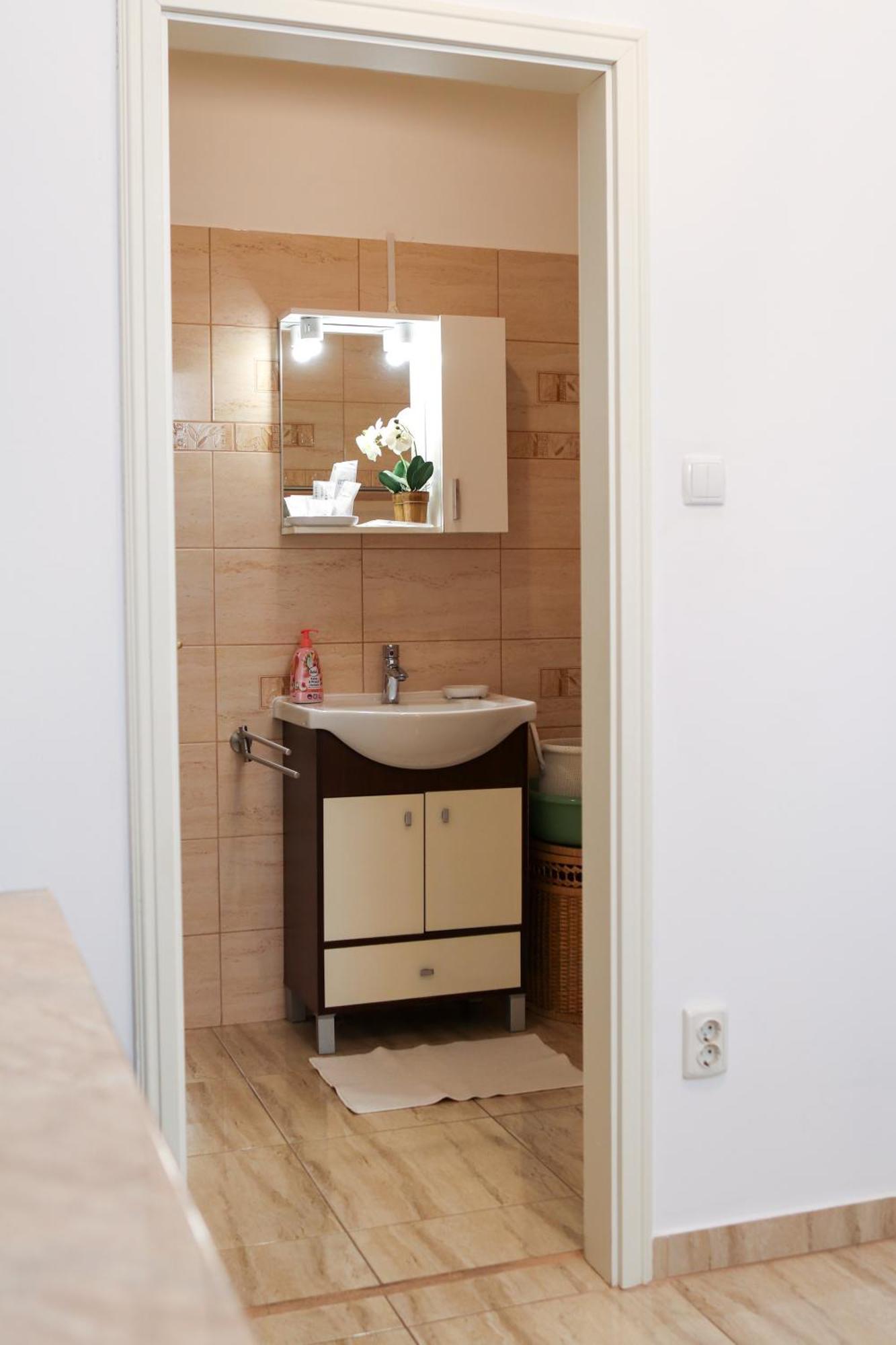 Neuhausz Residenz Ultra-Central Apartment Timisoara Esterno foto