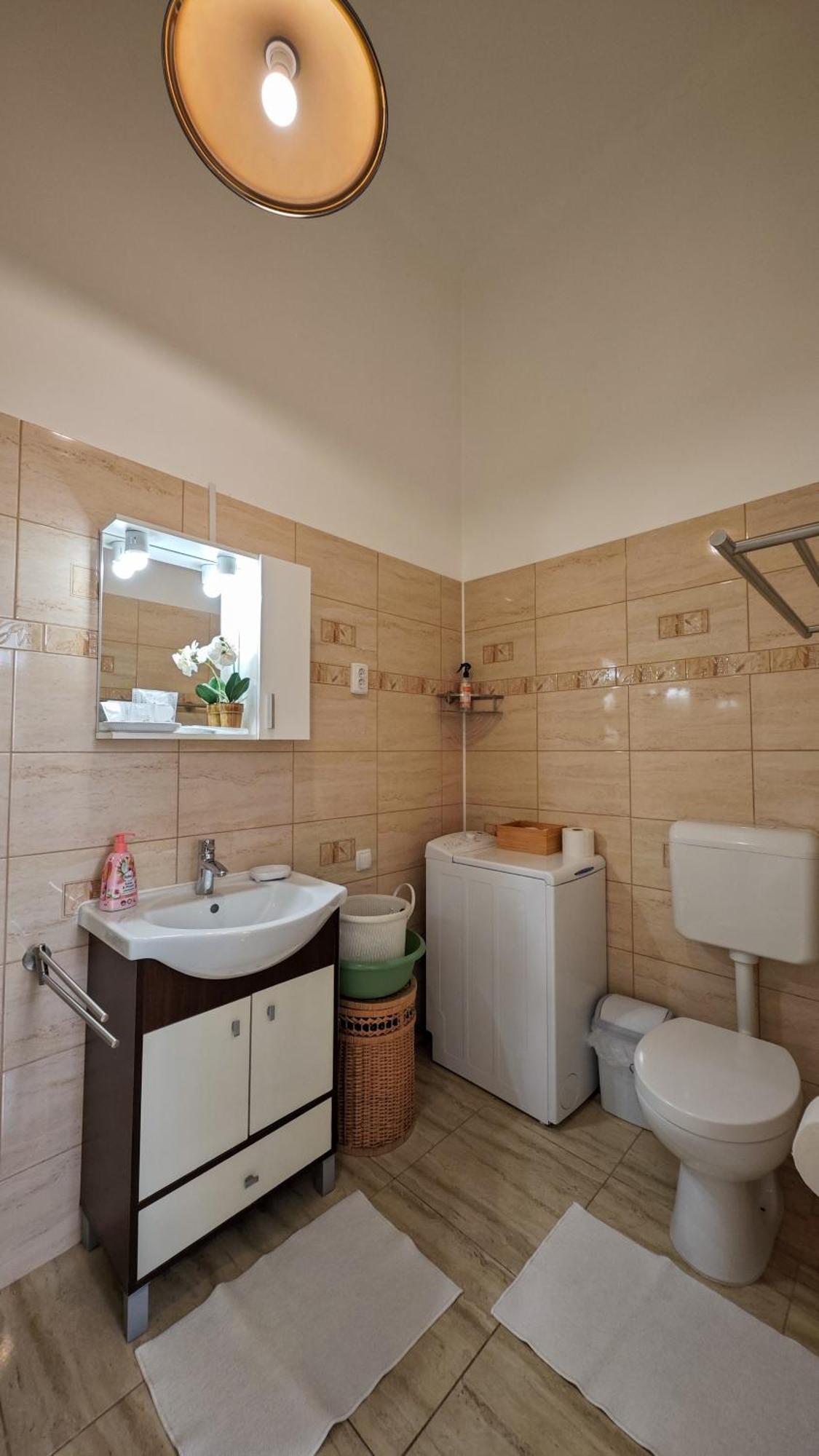 Neuhausz Residenz Ultra-Central Apartment Timisoara Esterno foto