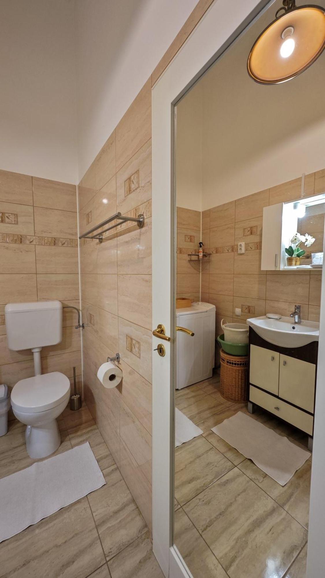Neuhausz Residenz Ultra-Central Apartment Timisoara Esterno foto
